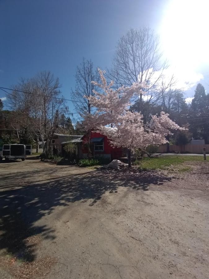 Bigfoot Rv & Cabins Park Happy Camp Εξωτερικό φωτογραφία