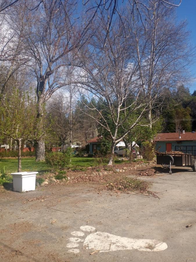 Bigfoot Rv & Cabins Park Happy Camp Εξωτερικό φωτογραφία